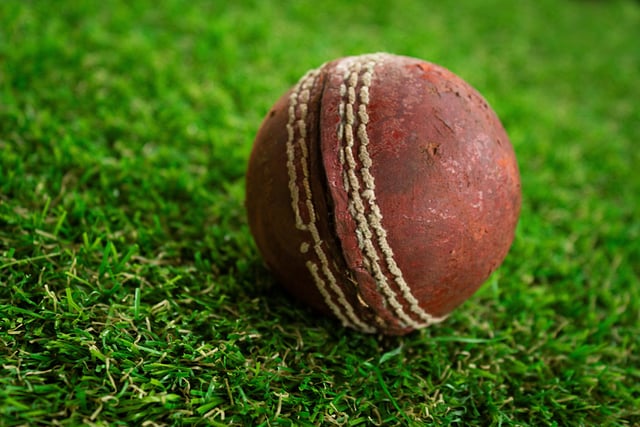 Runaway horses disrupt village cricket match
