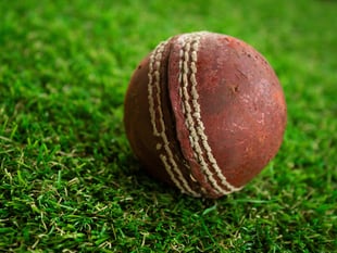 Runaway horses disrupt village cricket match

