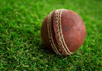 Runaway horses disrupt village cricket match