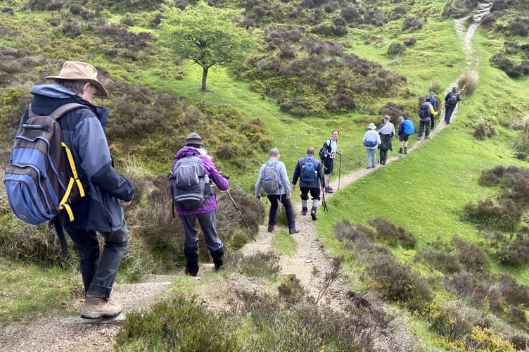 Okehampton Rambling Club Bennetts Cross to Birch Tor