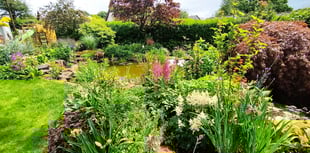 Mary Tavy gardens open in aid of St Luke’s