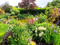 Mary Tavy gardens open in aid of St Luke’s