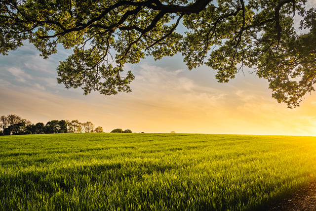 Leading local farmer found dead