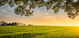 Leading local farmer found dead