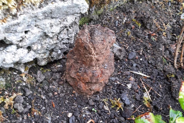 Princetown residents evacuated after suspect explosive found