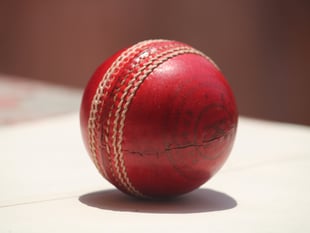 Cricket: Bridestowe push 30 points clear at top