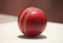 Cricket: Bridestowe push 30 points clear at top