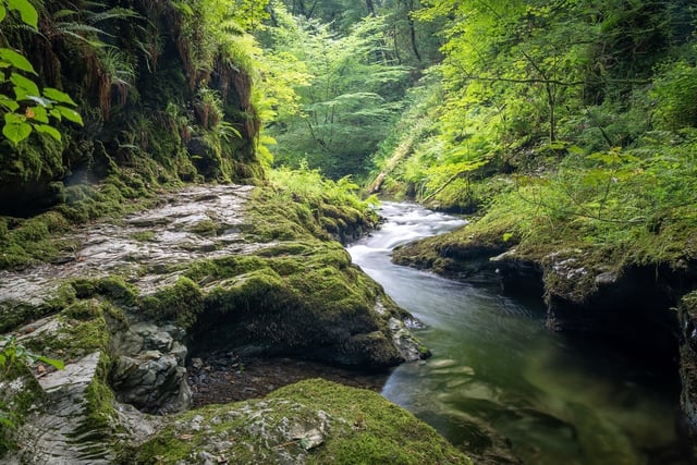 Lydford Gorge and Tree Surfers make best Devon family attractions list