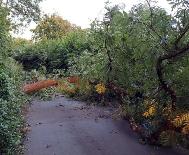 Highways teams thanked for swift clear-up after Storm Antoni