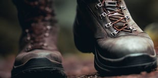 John Howells: The daily walk