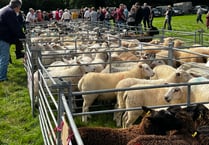 CHAGFORD LIVESTOCK MARKET: July sale attracted better entry