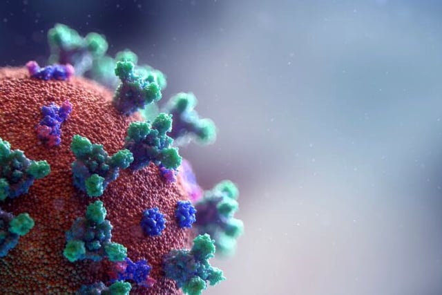Data shows a rise in coronavirus cases in the South West
