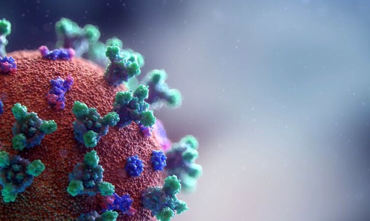 An image of the coronavirus.