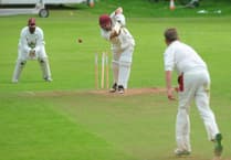 MATCH GALLERY: Devon Cricket League D Division W. Ipplepen 2nd XI vs Lewdown 1st XI