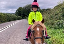 Slow down to keep horse-riders safe, drivers urged