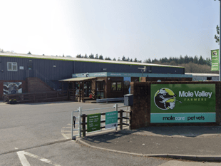 IT failure leaves Mole Valley Farmers paralysed