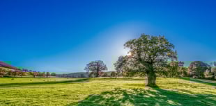 Mini heatwave set to hit Tavistock