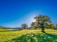 Mini heatwave set to hit Tavistock