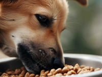 Hamlets council ups game to tackle pet food factory smell