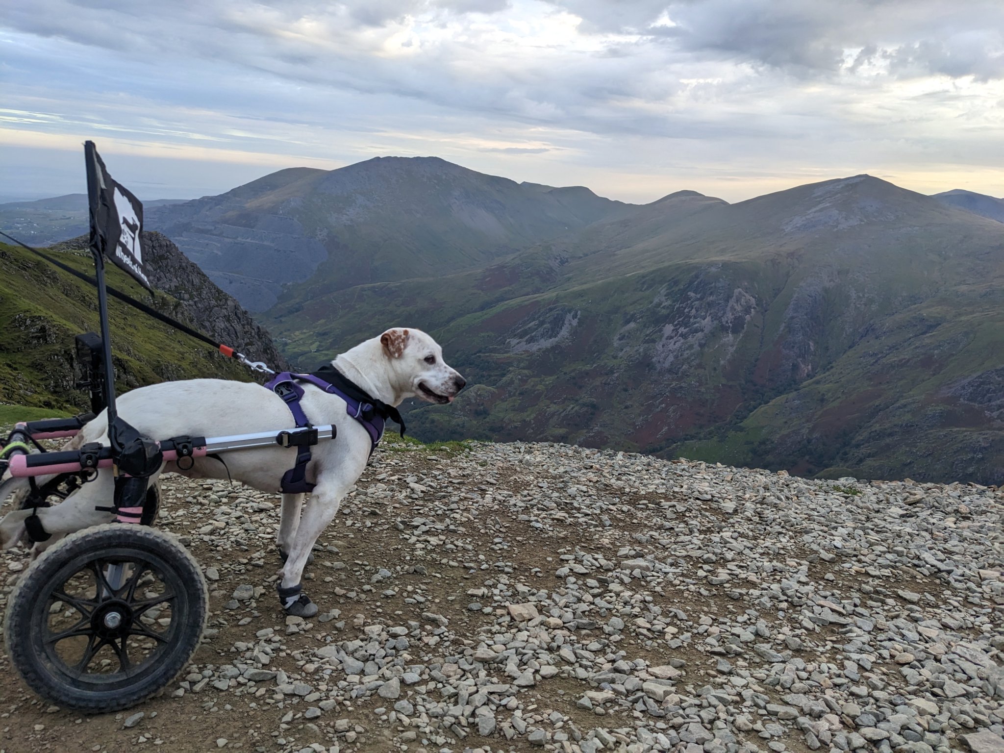 Hope reaches top of Mount Snowdon