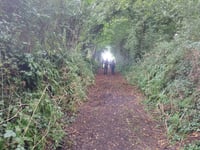 OKEHAMPTON RAMBLING CLUB: Weather stays fair for avid walkers
