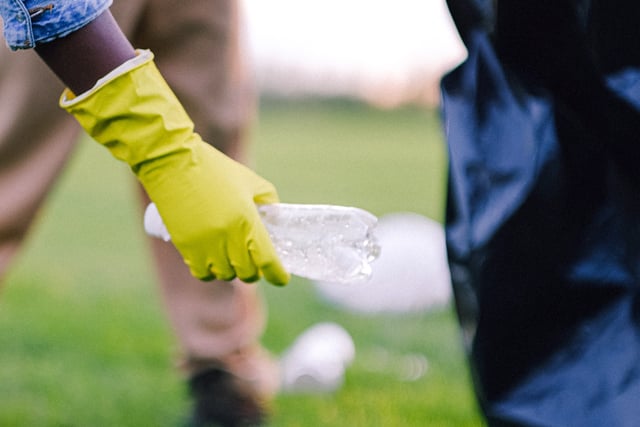 Council weighed down by litter and dog poo 