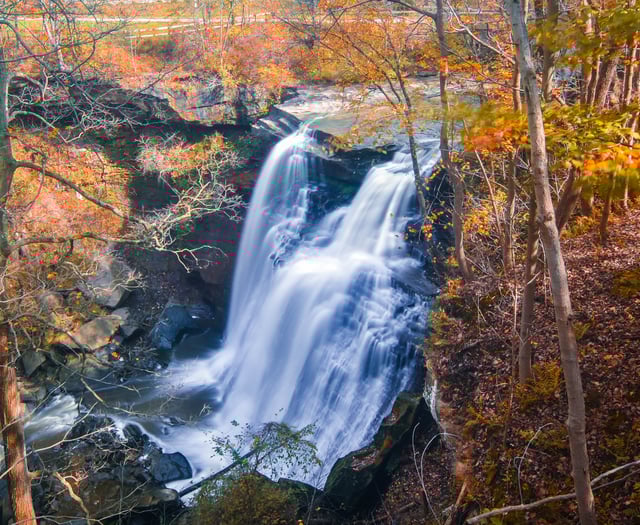 Dartmoor paired with US park 
