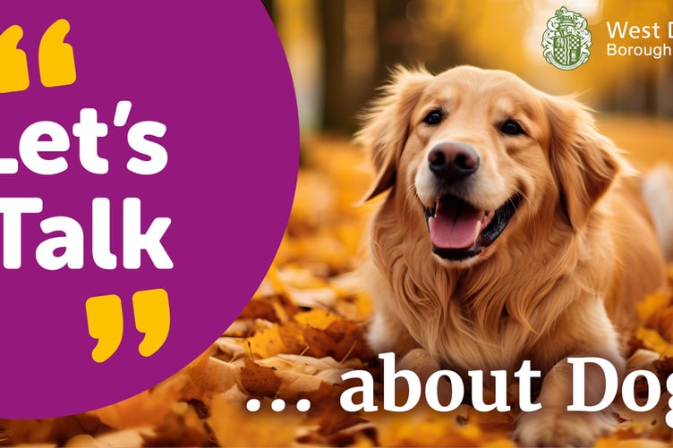 dog control consultation