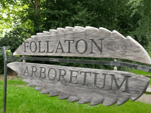 Trees planted at treasured open space