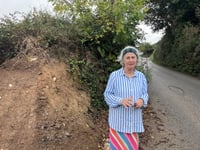 Are Devon’s hedges under threat?