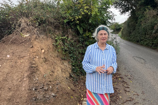 Penny Griffiths stands next to one of the points where Allison Homes have needed to create an access point