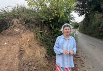 Resident raises concerns that Devon hedgebanks are under threat as more houses built