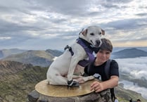 Wheelie dog Hope smashes Snowdon challenge target