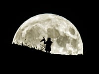 Halloween 2023: More than a dozen witches living in Torridge