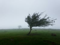 Storm Ciarán: take care on the roads