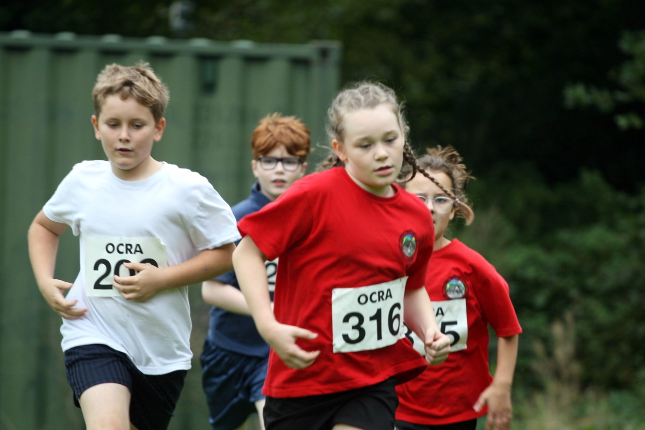 Everyone’s a winner in the schools X-country