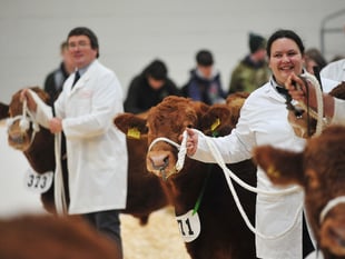 Video: Agrifest ploughs new path for Devon farmers