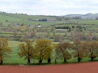 Devon’s Free Tree Scheme 'em-barks' on its fifth season

