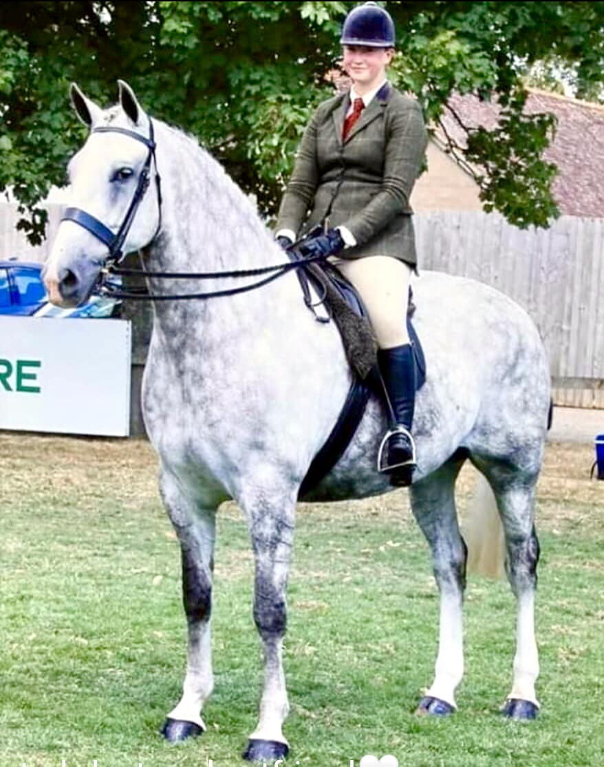 Top prize for young Belstone horse breeder