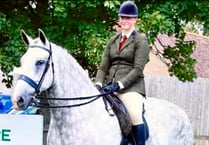 Top prize for young Belstone horse breeder