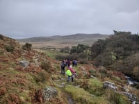 OKEHAMPTON RAMBLING CLUB: Muddy ground forces walkers to change route