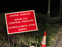 Shock that bird flu returns to Devon again
