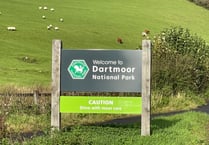 Review provides recommendations for protected sites on Dartmoor
