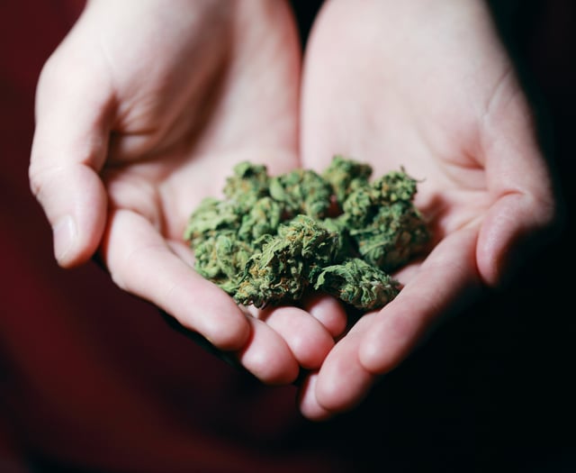 Cannabis quiche led gardener to launch raid on filling station
