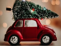 Recycling real Christmas trees in Okehampton