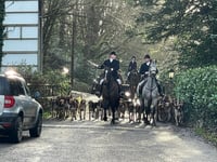 Supporters turned out to cheer on local hunt at Boxing Day meets
