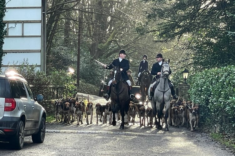 Hunt staff and hounds arriving for the Eggesford meet. AQ 2838