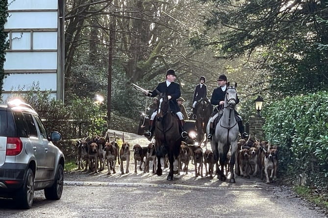 Animal welfare charity slams hunt’s ‘brutality’