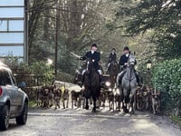 Animal welfare charity slams hunt’s ‘brutality’