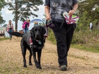 OKEHAMPTON U3A: Come and meet a Hearing Dog for Deaf People